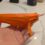 orange narwhal