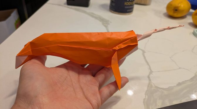 orange narwhal